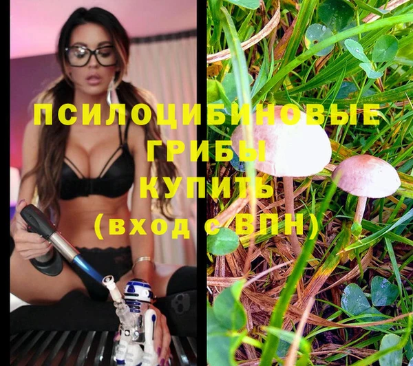эйфоретик Заводоуковск
