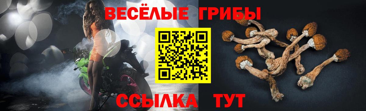 Псилоцибиновые грибы прущие грибы  Галлюциногенные грибы мицелий  Северобайкальск  как найти закладки  Вход с VPN 